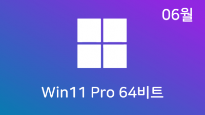 [06월] Win11 21H2(22000.51) Pro 64비트