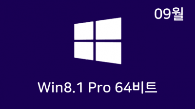 [09월] Win8.1 Pro 64비트 Remiz