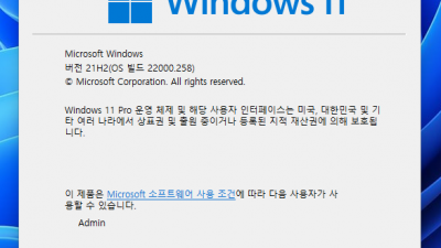 윈도우 11 (22000.194) Pro/Home  사용기