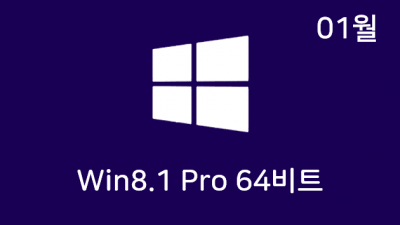 [01월] Win8.1 Pro 64비트 Remiz