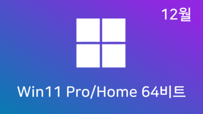 [12월] Win11 21H2(22000.376) Pro/Home 64비트 (모든 플랫폼 용)