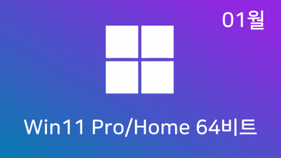 [01월] Win11 21H2(22000.434) Pro/Home 64비트 (모든 플랫폼 용)