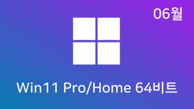 [06월] Win11 21H2(22000.739) Pro/Home 64비트 (모든 플랫폼 용)