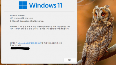윈도우11 [10월]win11 22H2(22621.674) Pro/Home 64비트 설치  후기