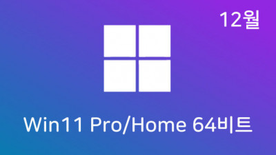 [12월] Win11 22H2(22621.963) Pro/Home 64비트 (모든 플랫폼 용)