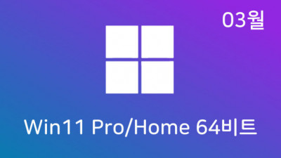 [03월] Win11 22H2(22621.1413) Pro/Home 64비트 (모든 플랫폼 용)