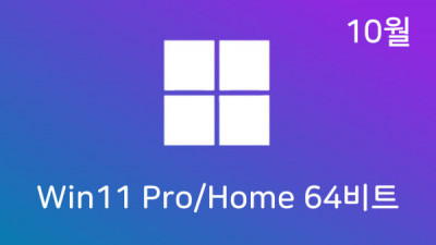 [10월] Win11 22H2(22621.2428) Pro/Home 64비트 (모든 플랫폼 용)