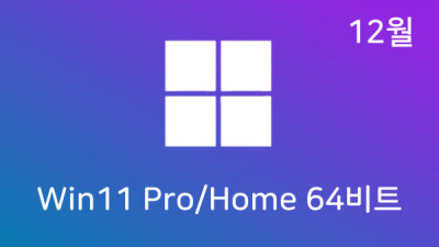 [12월] Win11 23H2(22631.2803) Pro/Home 64비트 (모든 플랫폼 용)