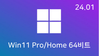 [01월] Win11 23H2(22631.3007) Pro/Home 64비트 (모든 플랫폼 용)
