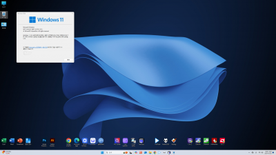 [10월] Win11 24H2(26100.2033) Pro 64비트 - 주말맞아 세컨컴에 클린 설치~