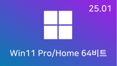 [01월] Win11 24H2(26100.2894) Pro/Home 64비트 (모든 플랫폼 용)