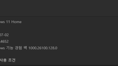 Win11 24H2(26100.4351) Home 64비트