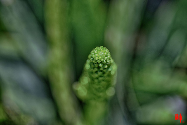 437c6a93e9e263f89d5e41d90f079100_1754966088_1459.jpg