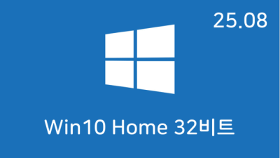 [08월] Win10 22H2(19045.6216) Home 32비트