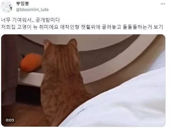 6c6a2553f268ab6e7f1dff3865b41017_1756654408_9845.jpeg
