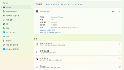 [09월] Win11 24H2(26100.6584) Pro/Home 64비트 (모든 플랫폼 용) 사용후기