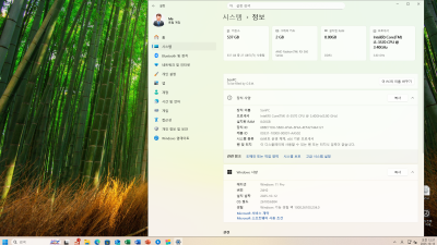 Win11 24H2(26100.6584) 4in1 x64 Remiz 25.09.14 이미지로 큰형님의 컴퓨터 윈도우 설치 후기