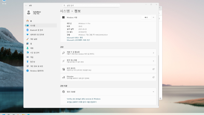 Win11 24H2(26100.6584) Pro/Home 64비트 (모든 플랫폼 용) 설치